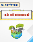 Chăn nuôi thú hoang dã: Bài thuyết trình