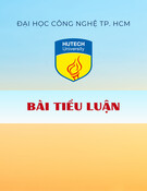 Đặc điểm và phương hướng phát triển giai cấp công nhân ở Việt Nam hiện nay: Bài tiểu luận