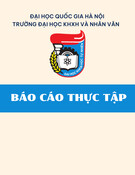 Báo cáo thực tập nhận diện chính sách lương thưởng cho người lao động tại Công ty TNHH Công nghệ Cosmos