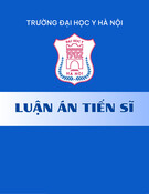 Luận án Tiến sĩ: Nghiên cứu tổn thương võng mạc, đánh giá phần mềm chẩn đoán bệnh võng mạc đái tháo đường type 2