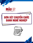 Mẫu Đơn Xin Xét Chuyển Chức Danh: Hướng Dẫn Chi Tiết, Mới Nhất