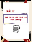 Mẫu đơn xin bảo lãnh tại ngoại: Mẫu chuẩn và hướng dẫn chi tiết