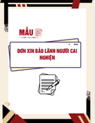 Mẫu đơn xin bảo lãnh cai nghiện tại gia đình: Thủ tục và các mẫu chuẩn