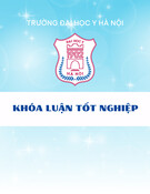 Thực trạng sử dụng mạng xã hội, ảnh hưởng tới hành vi, sức khỏe sinh viên Đại học Y Dược – Đại học Quốc gia Hà Nội (2021) | Khóa luận tốt nghiệp