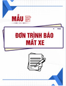 Mẫu Tường Trình Mất Xe: Hướng Dẫn Chi Tiết, Chuẩn và Mới Nhất