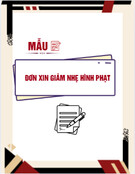 Mẫu đơn xin giảm nhẹ hình phạt: Mẫu và hướng dẫn chi tiết, chuẩn nhất