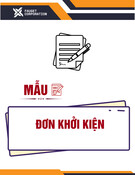 Mẫu Đơn Khởi Kiện: Hướng Dẫn Chi Tiết và Thủ Tục [Mới Nhất]