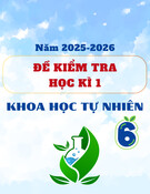 Đề thi học kì 1 Khoa học tự nhiên lớp 6 năm 2025-2026 có đáp án [Mới nhất]