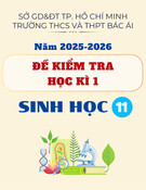 Đề thi học kì 1 Sinh học lớp 11 năm 2025-2026 - Trường THCS&THPT Bác Ái (có đáp án)