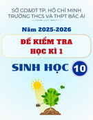 Đề thi học kì 1 Sinh học lớp 10 năm 2025-2026 - Trường THCS&THPT Bác Ái