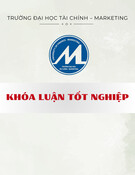 Phân tích tình hình nhập khẩu mặt hàng tin học của Công ty Trách nhiệm Hữu hạn Hệ thống Thông tin FPT: Khóa luận tốt nghiệp