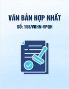 Văn bản hợp nhất 158/VBHN-VPQH mới nhất
