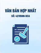Văn bản hợp nhất 42/VBHN-BCA [Mới nhất]
