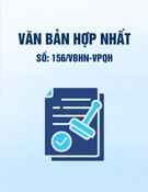 Văn bản hợp nhất 156/VBHN-VPQH mới nhất