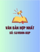 Văn bản hợp nhất 53/VBHN-BQP mới nhất