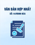 Văn bản hợp nhất 44/VBHN-BCA mới nhất