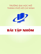 Bài tập nhóm Pháp luật về hoạt động thương mại và giải quyết tranh chấp