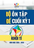 Bộ đề ôn tập cuối học kỳ 1 môn Toán 11 Cánh Diều