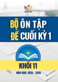 Bộ đề ôn tập cuối học kỳ 1 môn Toán 11 CTST