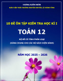 10 đề ôn tập kiểm tra học kì 1 Toán 12