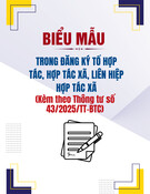 Mẫu Thông báo thành lập doanh nghiệp hợp tác xã chuẩn nhất