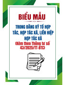 Mẫu danh sách thành viên tổ hợp tác chuẩn nhất
