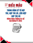 Mẫu Giấy Chứng Nhận Đăng Ký Hợp Tác Xã (Cấp Lại): Chuẩn, Mới Nhất