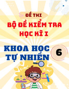 Bộ Đề Kiểm Tra Cuối Kì 1 Khoa Học Tự Nhiên 6 (Có đáp án và ma trận)
