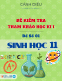Đề Kiểm Tra Học Kì I Sinh Học 11 - Cánh Diều