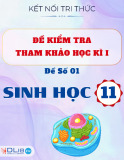 Đề Kiểm Tra Học Kì I Sinh Học 11 - Kết Nối Tri Thức