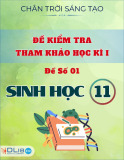 Đề Kiểm Tra Học Kì I Sinh Học 11 - Chân Trời Sáng Tạo
