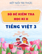 Đề Kiểm Tra Học Kì II - Tiếng Việt 3 - Kết Nối Tri Thức (kèm lời giải)