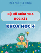 Đề Kiểm Tra Học Kì I - Khoa Học 4 - Kết Nối Tri Thức (kèm đáp án)