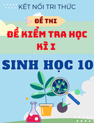 Bộ Đề Thi Học Kì 1 Sinh Học 10 - Kết Nối Tri Thức