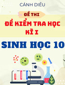 Bộ Đề Thi Học Kì 1 Sinh Học 10 - Cánh Diều