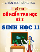 Đề Thi Học Kì 1 Sinh Học 11 - Chân Trời Sáng Tạo