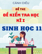 Đề Thi Học Kì 1 Sinh Học 11 - Cánh Diều