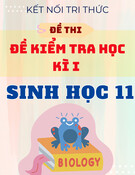 Đề Thi Học Kì 1 Sinh Học 11 - Kết Nối Tri Thức