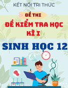 Đề Thi Học Kì 1 Sinh Học 12 - Kết Nối Tri Thức