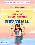 Giải Bài Tập SGK Bài Sơn Đoong - Thế Giới Chỉ Có Một Chân Trời Sáng Tạo - Ngữ Văn 11