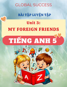 Bài Tập Luyện Tập Unit 3 My Foreign Friends (Tiếng Anh 5 Global Success) - Giải Chi Tiết