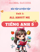 Bài Tập Luyện Tập Unit 1 All About Me Tiếng Anh 5 Global Success