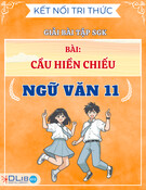 Giải Bài Tập SGK Bài Cầu Hiền Chiếu Kết Nối Tri Thức - Ngữ Văn 11