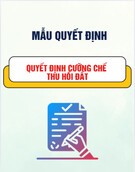 Mẫu Quyết định Cưỡng Chế Thu Hồi Đất Mới Nhất, Chuẩn Nhất