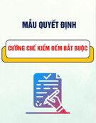 Mẫu Quyết định cưỡng chế kiểm đếm bắt buộc [Chuẩn nhất]