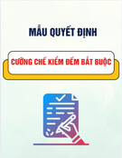 Mẫu quyết định kiểm đếm bắt buộc mới nhất