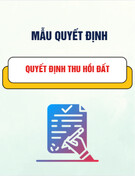 Mẫu Quyết định thu hồi đất chuẩn nhất