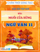 Giải Bài Tập SGK Bài Muối Của Rừng Chân Trời Sáng Tạo - Ngữ Văn 11