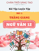 Bài Tập Tràng Giang Ngữ Văn 12 Chân Trời Sáng Tạo (Kèm Đáp Án) - Luyện Tập Bài 1