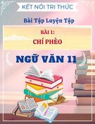 Bài tập Chí Phèo Ngữ Văn 11 (Kết Nối Tri Thức): Luyện tập bài 1 (có đáp án)